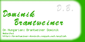 dominik brantweiner business card